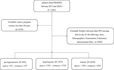 Development of a convenient and effective hypertension risk prediction model and exploration of the relationship between Serum Ferritin and Hypertension Risk: a study based on NHANES 2017—March 2020